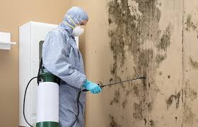 Best Biohazard Mold Removal  in Southgate, MI